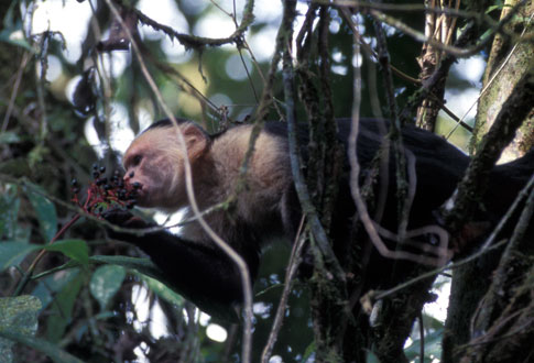 CR10_29