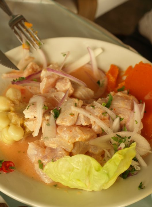 Ceviche, a popular highlight of Peruvian cuisine, Peru tours with Vaya Adventures