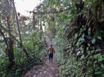 cloud forest w guy